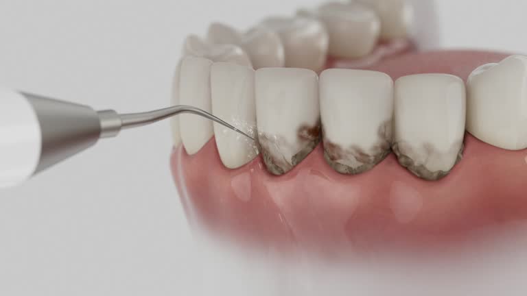 Reliable Dental contractor in Excelsior Springs, MO by Dentist Open Now